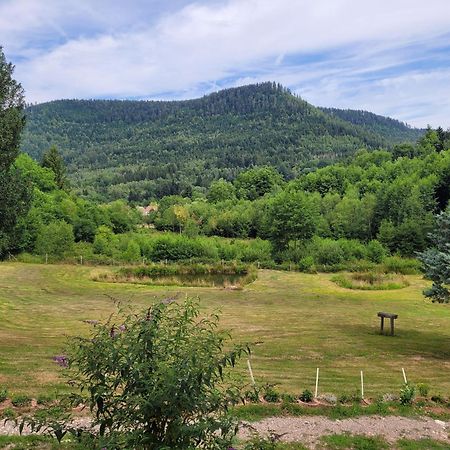 Gite Forestier Du Moulin Raon-sur-Plaine ภายนอก รูปภาพ