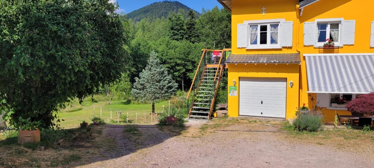 Gite Forestier Du Moulin Raon-sur-Plaine ภายนอก รูปภาพ