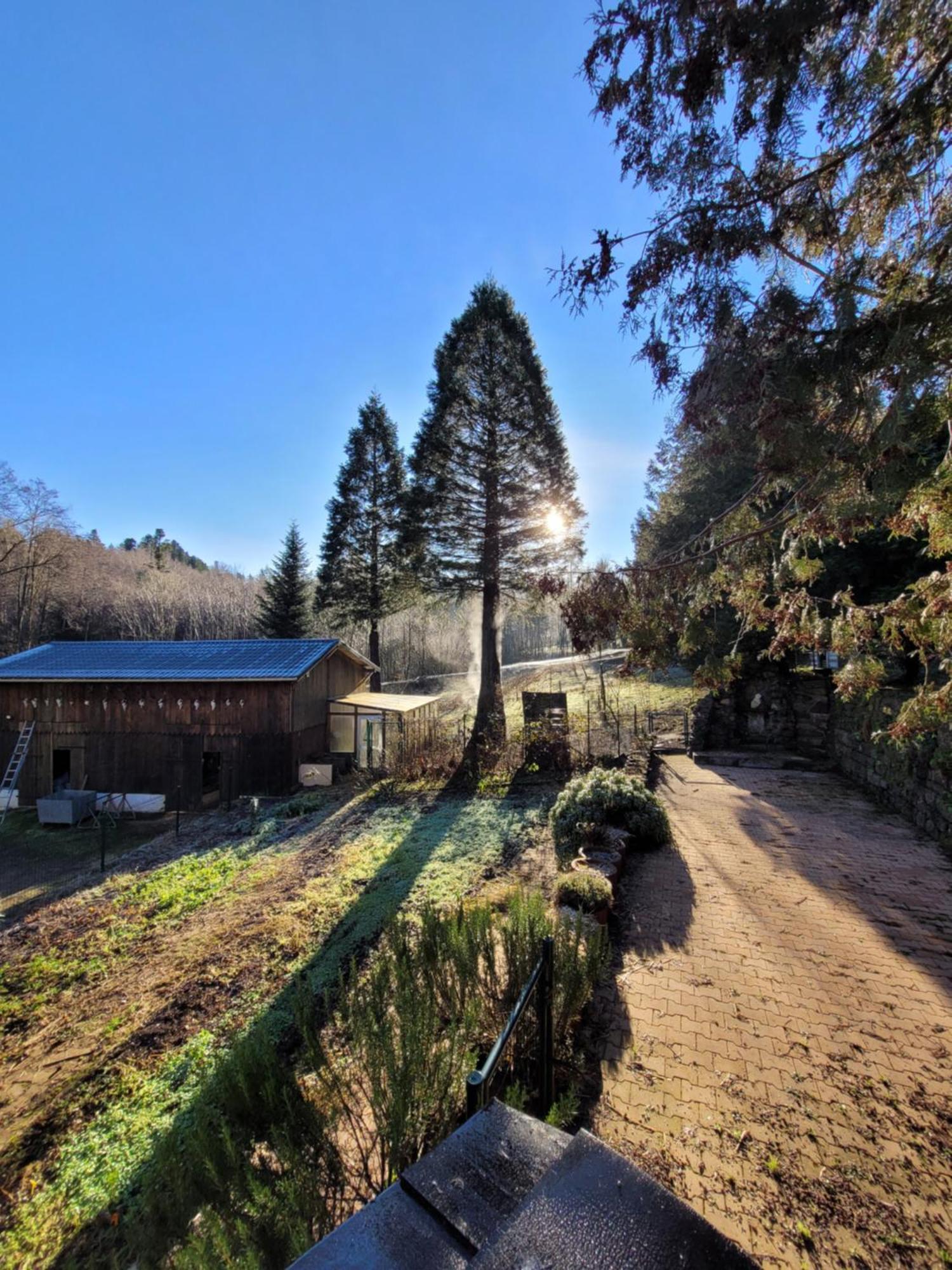 Gite Forestier Du Moulin Raon-sur-Plaine ภายนอก รูปภาพ