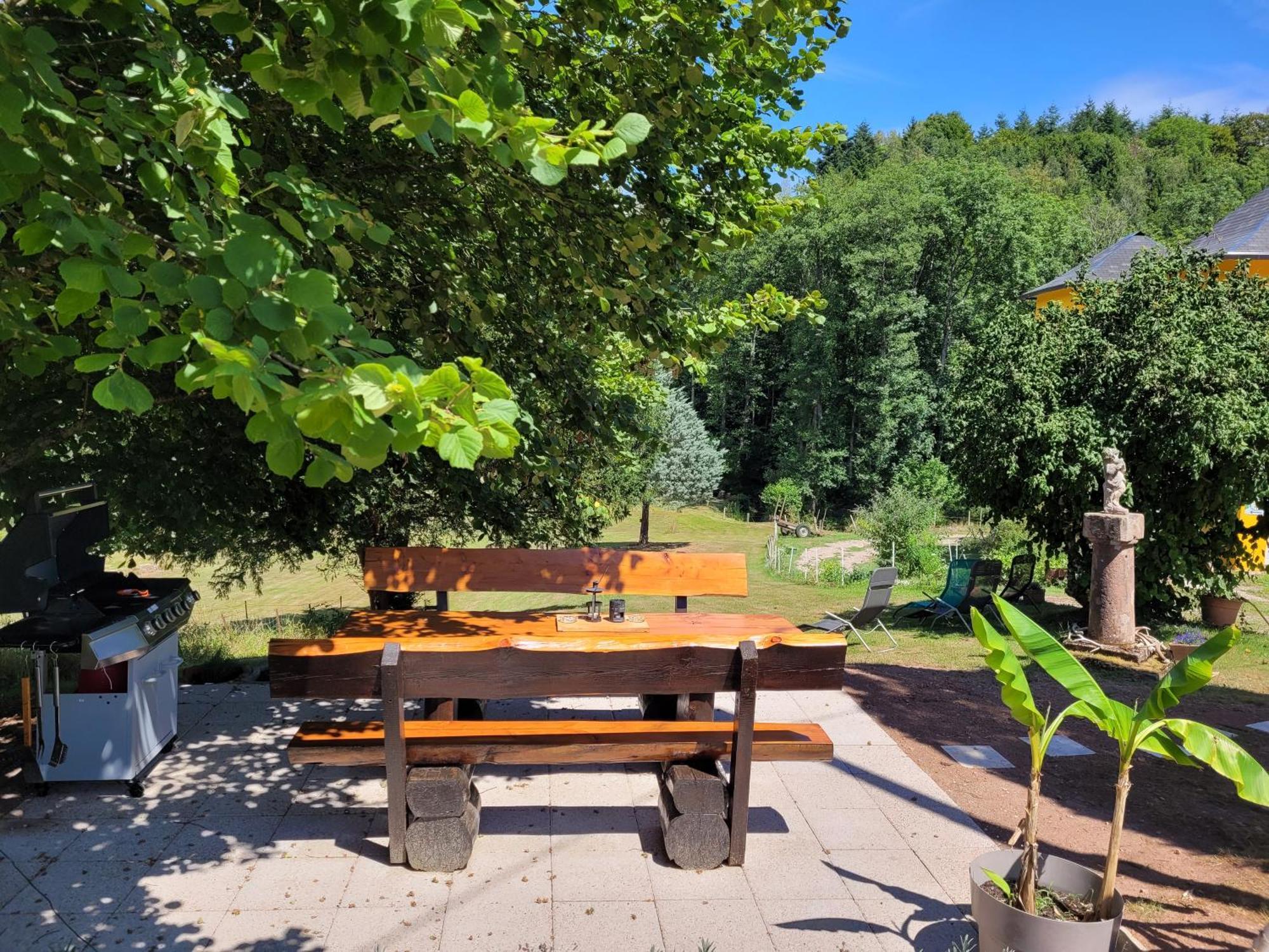 Gite Forestier Du Moulin Raon-sur-Plaine ภายนอก รูปภาพ