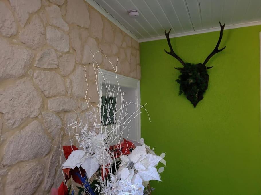 Gite Forestier Du Moulin Raon-sur-Plaine ภายนอก รูปภาพ