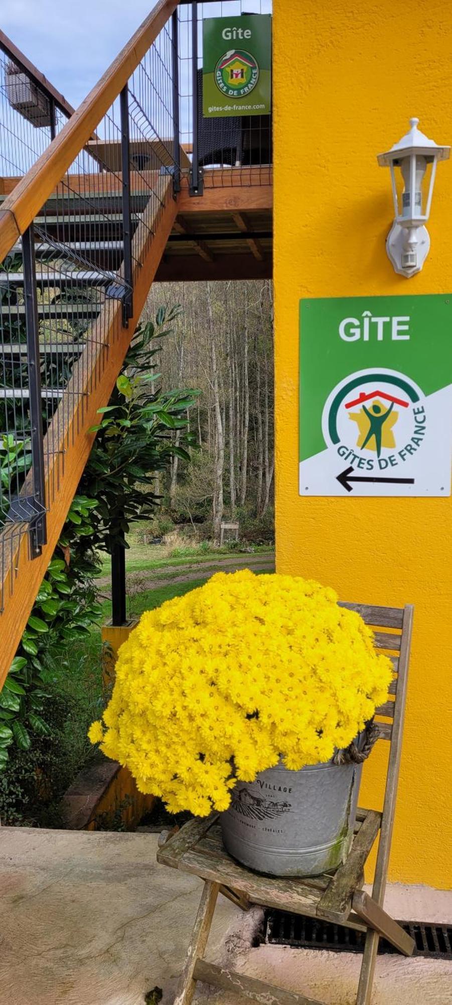 Gite Forestier Du Moulin Raon-sur-Plaine ภายนอก รูปภาพ