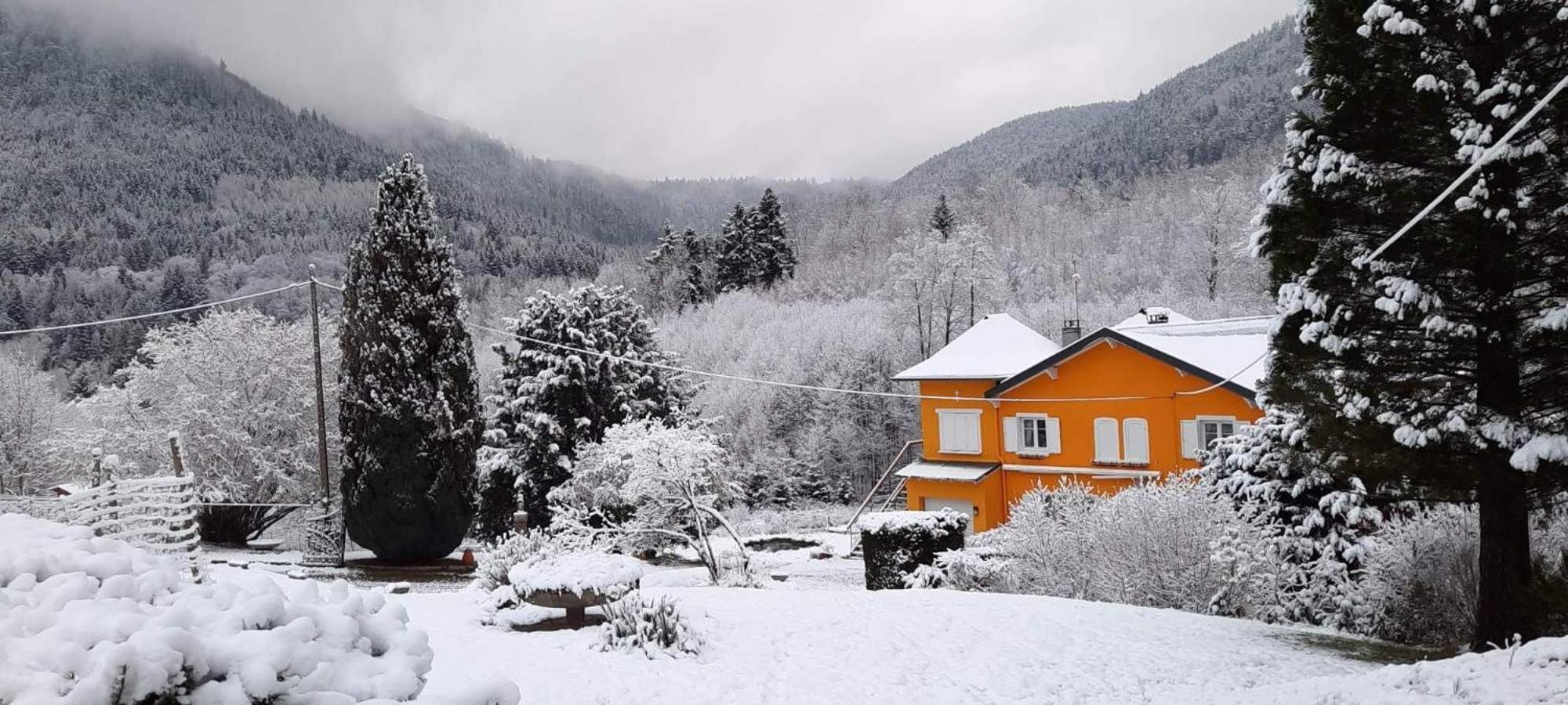 Gite Forestier Du Moulin Raon-sur-Plaine ภายนอก รูปภาพ